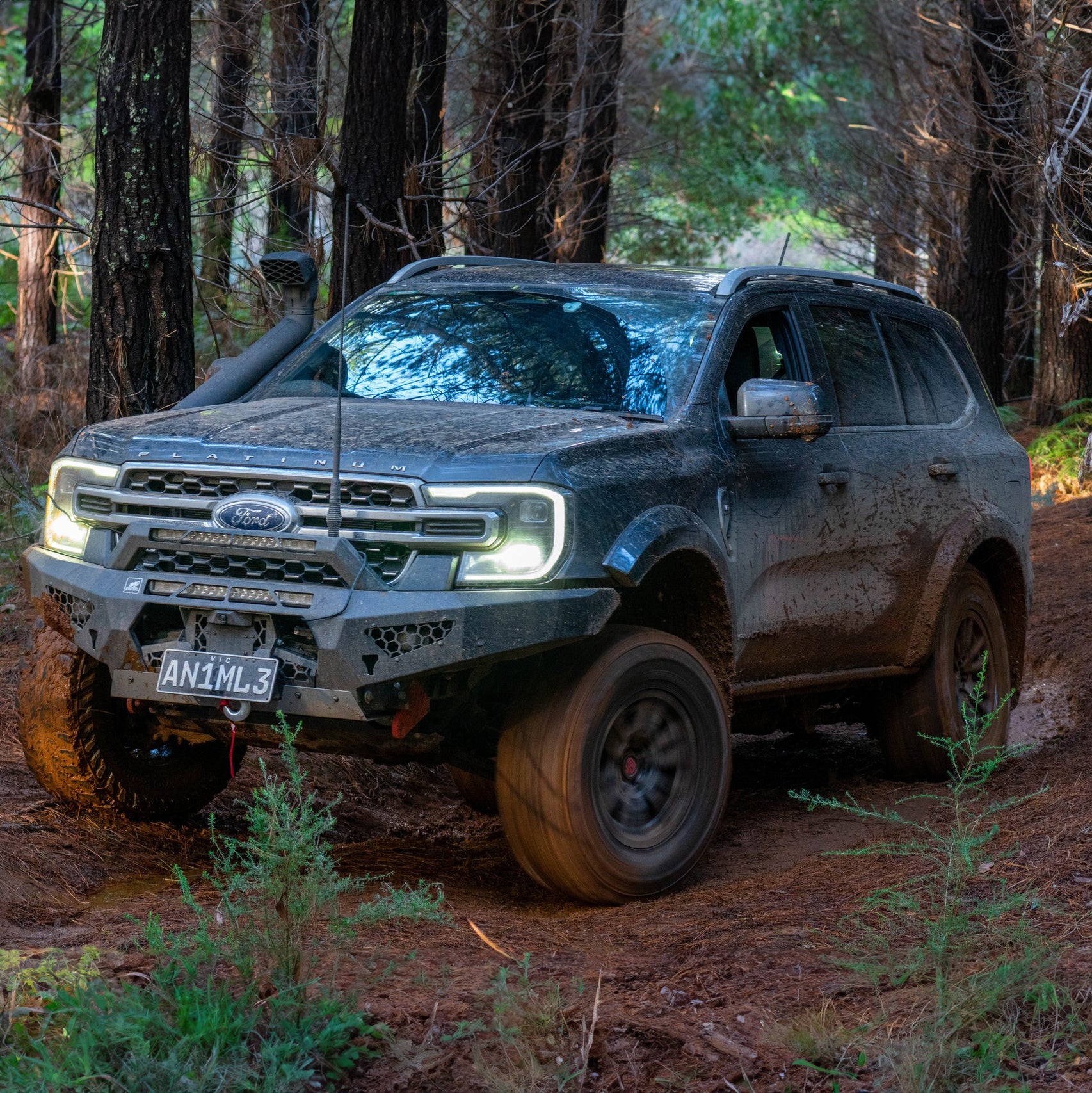 Predator Bull bar, Ford Everest, Next Gen; 2022 ON